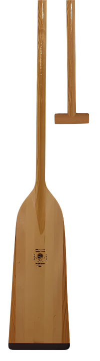 High Performance Canoe Paddle – Dragon Boat, Lightweight 7-Ply Cambered Blade, 44″–51″