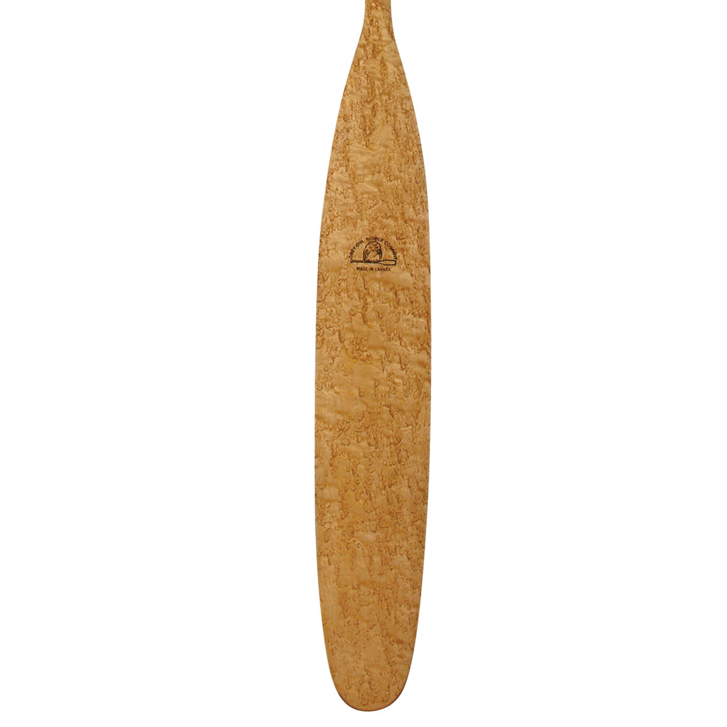 Birdseye Maple Sagamore