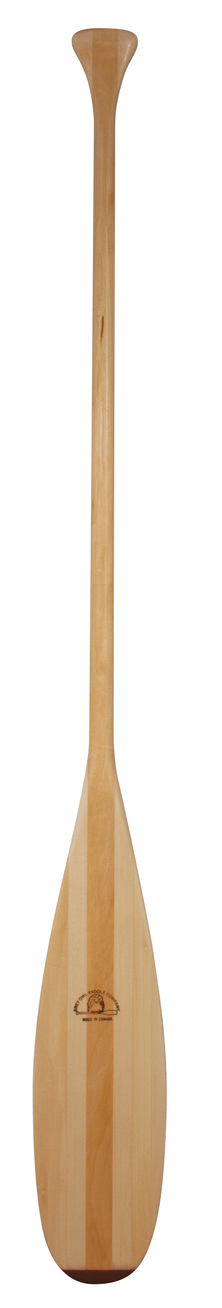 Tenderfoot